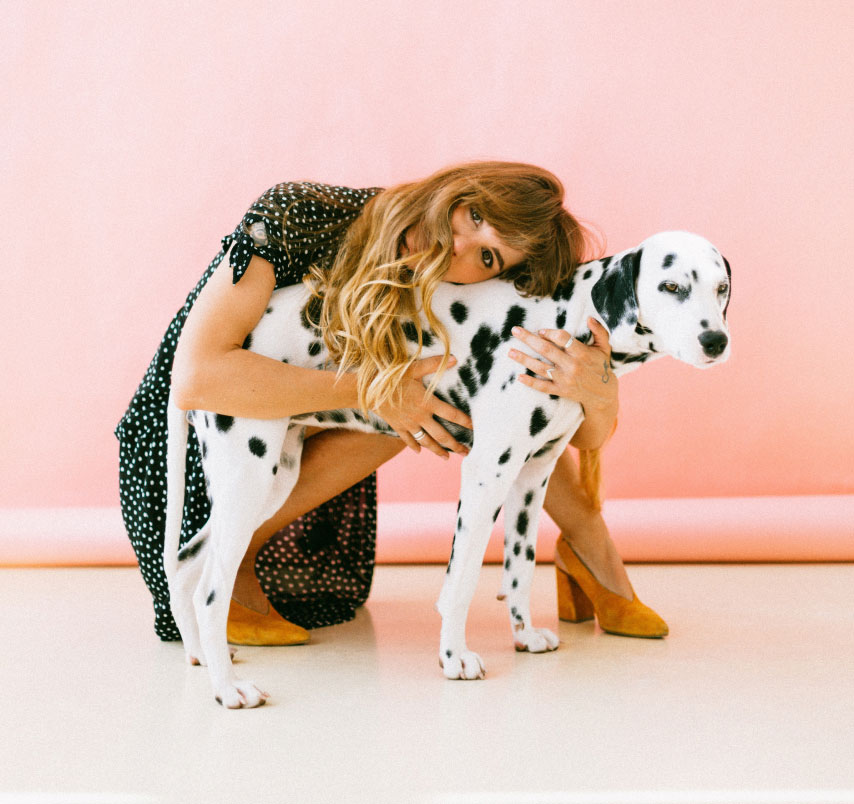 Pet Stop Veterinary Clinic