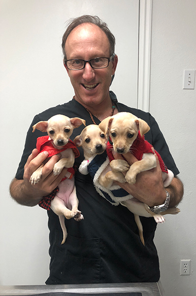 Dr. Matt at Pet Stop Veterinary Clinic