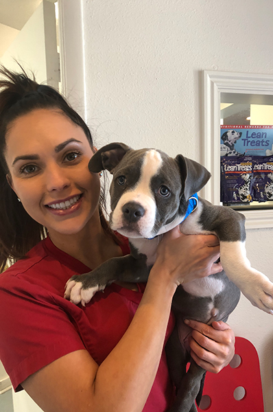 The Pet Stop veterinary staff