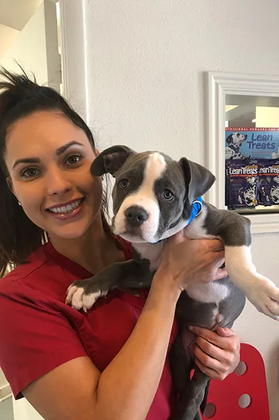 The Pet Stop veterinary staff