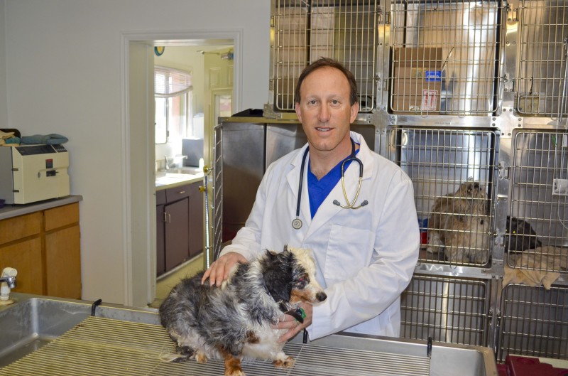 Dr. Matt with a dog patient