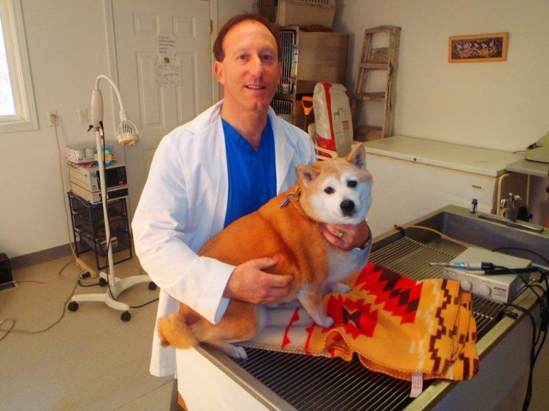 Dr. Matt with a dog patient
