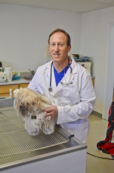 Dr. Matt with a dog patient