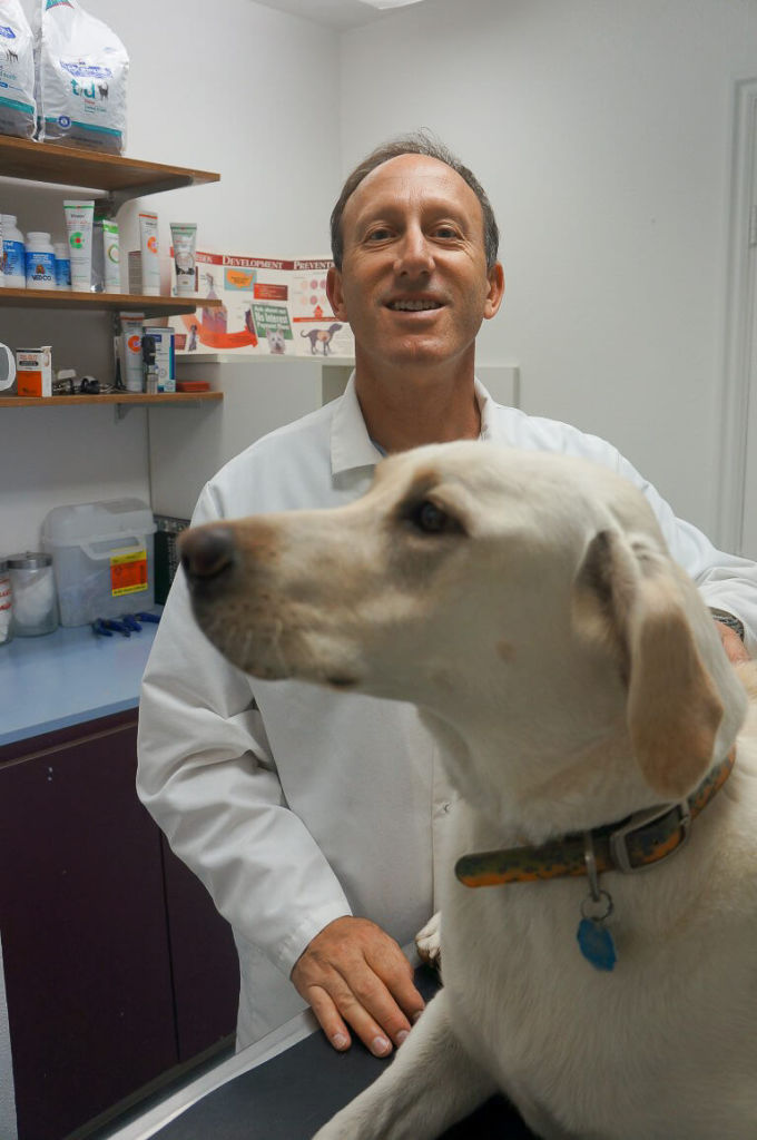 Dr. Matt with a dog patient