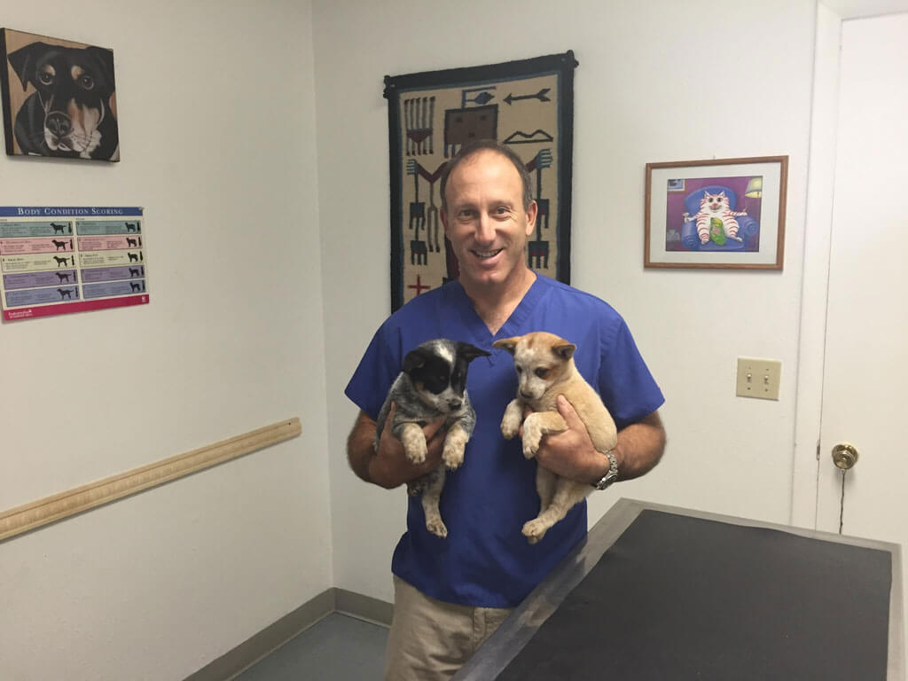 Dr. Matt with dogs at Pet Stop