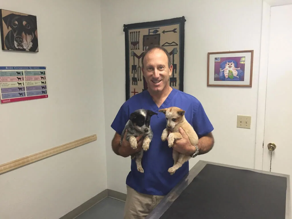 Dr. Matt with dogs at Pet Stop