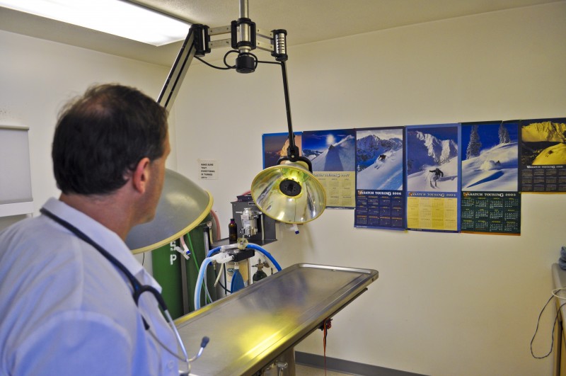 The Pet Stop surgery room