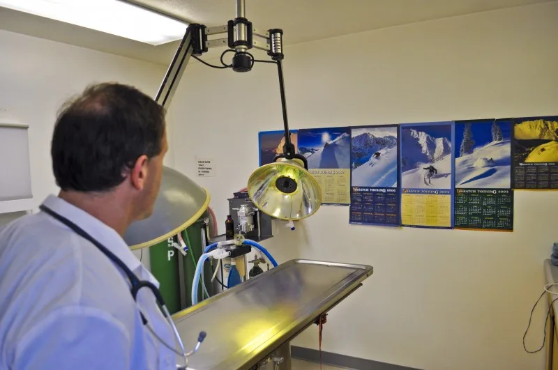 The Pet Stop surgery room