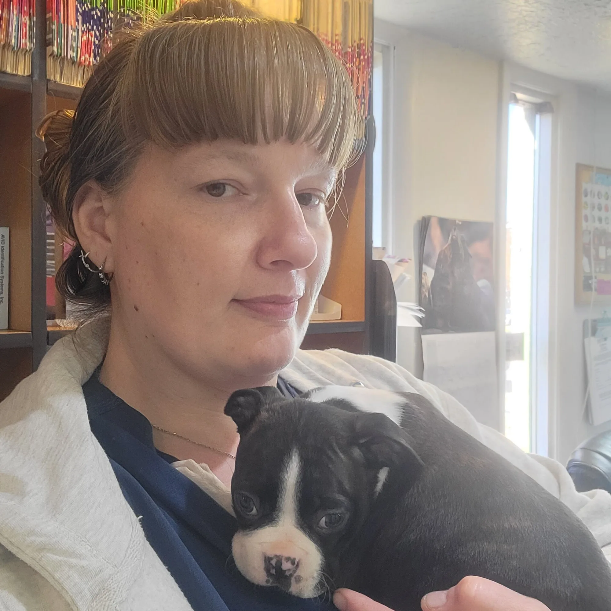 Inside Pet Stop Veterinary Clinic
