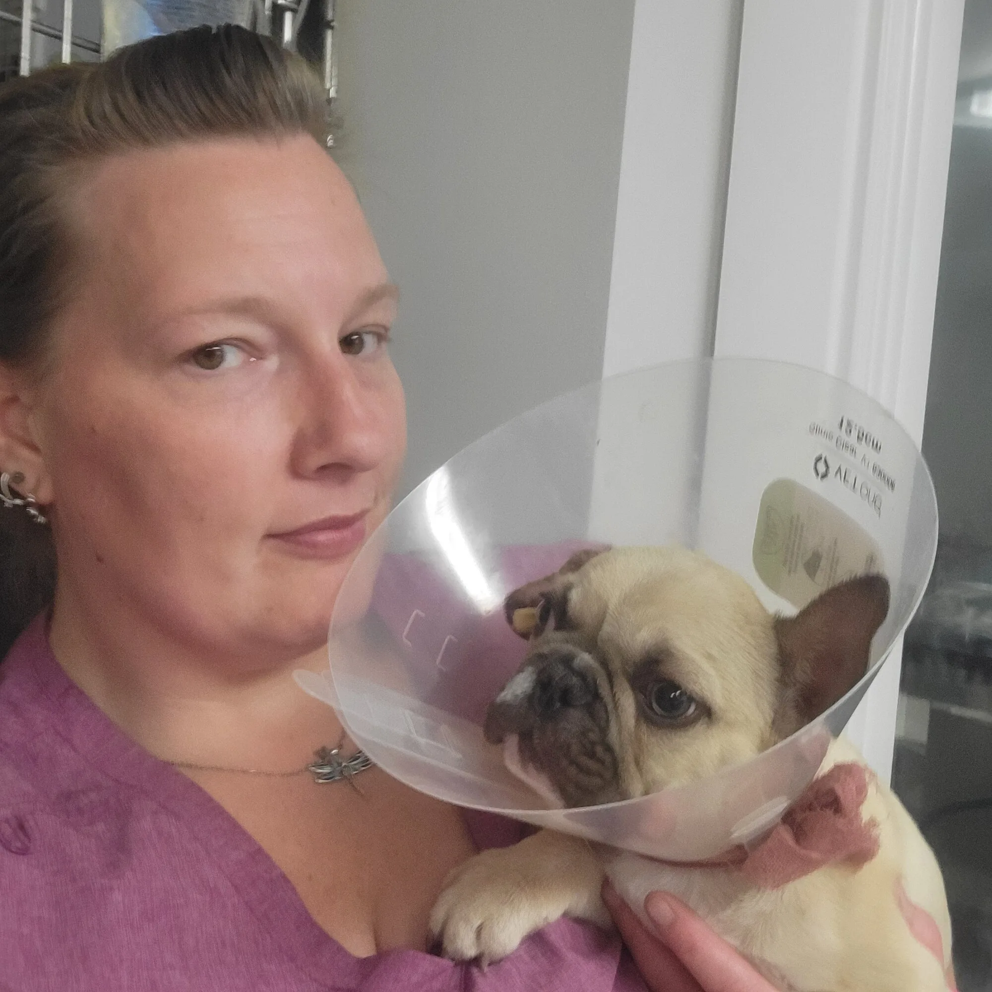 The Pet Stop veterinary clinic