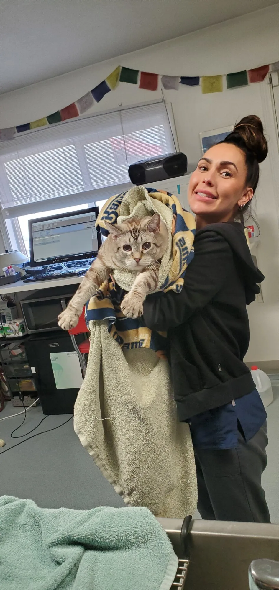 A treatment area at Pet Stop Veterinary Clinic